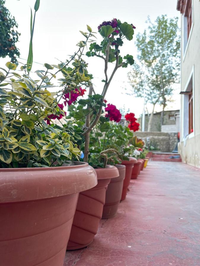 Gaywoo Guest House Leh Exterior foto