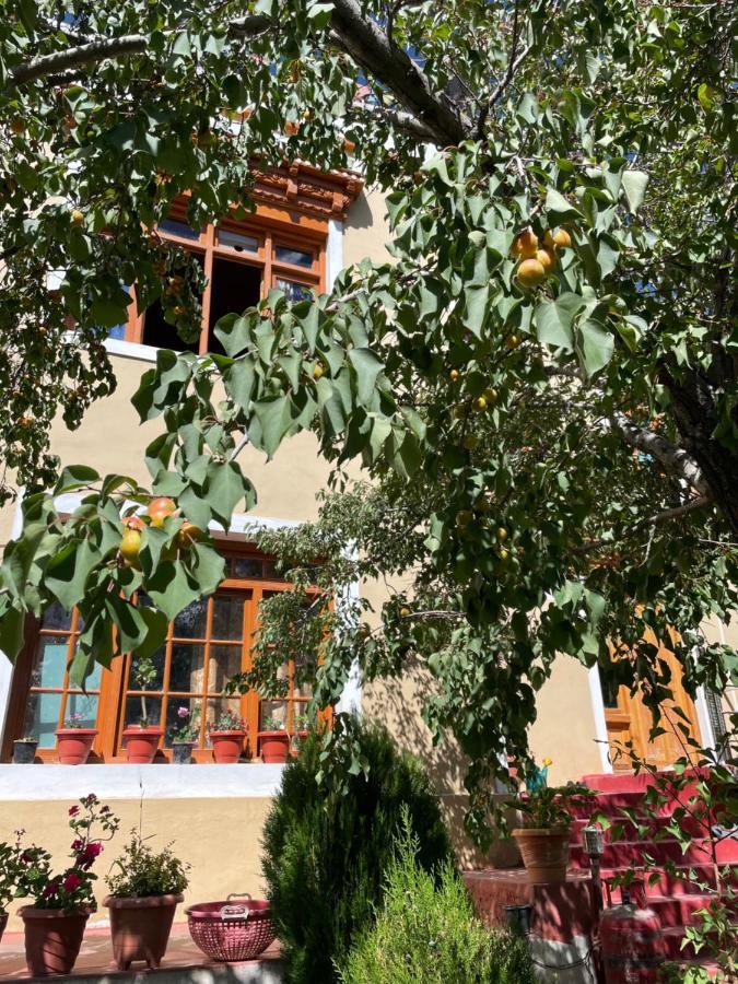 Gaywoo Guest House Leh Exterior foto