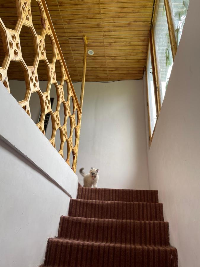 Gaywoo Guest House Leh Exterior foto